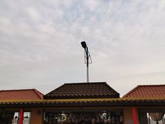 -大湾区中央湿地公园-十九涌