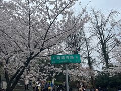 -鸡鸣寺