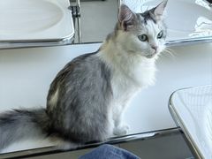 -怪兽屋·羊驼·猫咖·狗咖(俊华广场店)