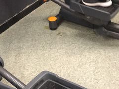 -阳光游泳培训基地(天通苑店)