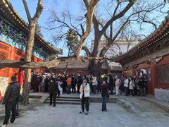 -贤良祠