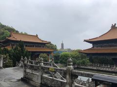 -天下玉苑