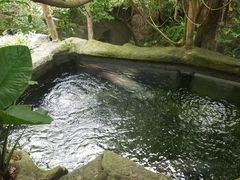 -青青世界