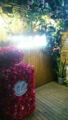点击看大图 -香遇沙龙香水·调香·团建