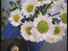-扫雪煮茶(西村店)