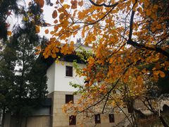 -北京大学赛克勒考古与艺术博物馆