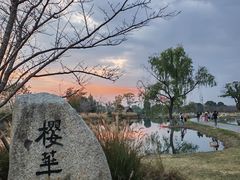 -良渚古城遗址公园