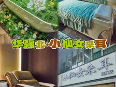 -小仙女采耳·按摩·SPA(深圳旗舰店)
