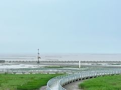 -南汇嘴观海公园