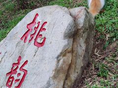 -桃花涧