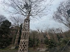 -郫都区农科村景区