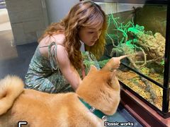 -帕帕拉兹宠物(亚洲旗舰店)