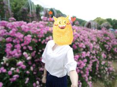 -尚贤河湿地