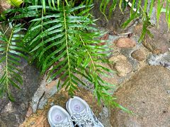 -广州白江湖森林公园