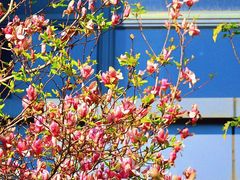 -福州大学(旗山校区)