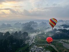 -银峰农庄·特色烧鸡·鲜无花果浸鸡