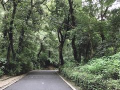 -杭州西湖风景名胜区-满觉陇四眼井