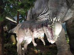 -湖南省地质博物馆