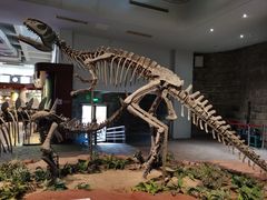 -自贡恐龙博物馆