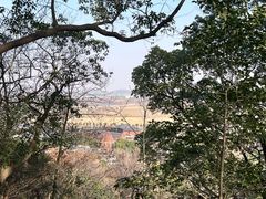 -上海佘山国家森林公园天马山园