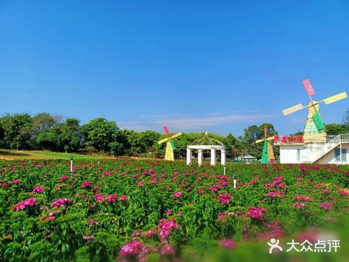 松山湖南湖湾露营营地图片