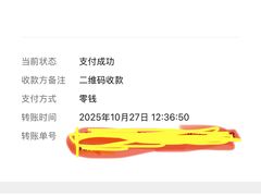 -丁老爷子苏香圆