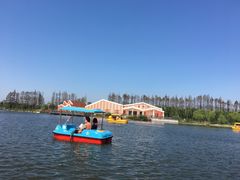 -上海长兴岛郊野公园