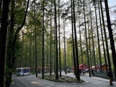 -东平国家森林公园