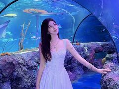 -沈阳海洋探索中心