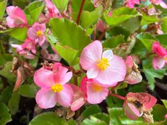 -创世纪情缘·婚恋(杭州家和店)