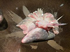 -鲜潭蒸汽石锅鱼(正佳广场店)