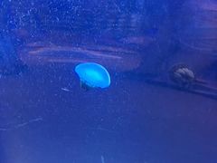 -五缘湾悦都汇购物中心