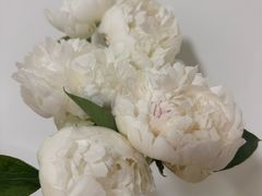 -盒马鲜生(馥邦国际店)