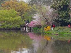 -杭州花家山庄