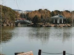 -紫薇公园