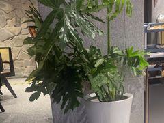 -陈熹公民族美食文化餐厅(中华广场店)