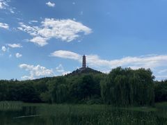 -北坞公园