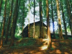 -山王坪喀斯特国家生态公园
