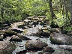 -汤旺河林海奇石景区