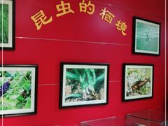 -上海昆虫博物馆