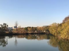 -新江湾城公园