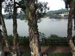 -广州都市观光巴士(粤陶巴)