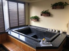 -春晖园度假酒店温泉