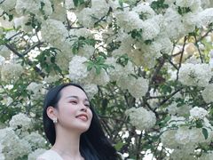 -堤角公园