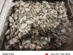 -港畔赶海蒸汽海鲜烧烤自助(仙螺岛店)