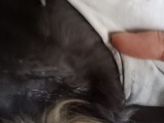 -纳吉亚猫专科动物医院博雅分院