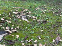 -梁鸿国家湿地公园