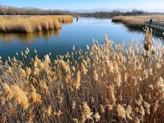 -野鸭湖国家湿地公园