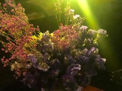 -THE BARMAN HOUSE(调酒师南门店)