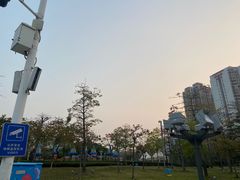 -文华公园(禅城区)